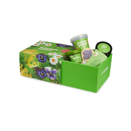 Lush Kitchen Shower Box