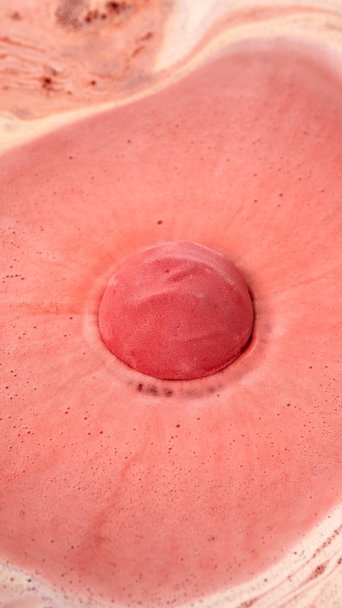 Sticky Dates(Bath Bomb)