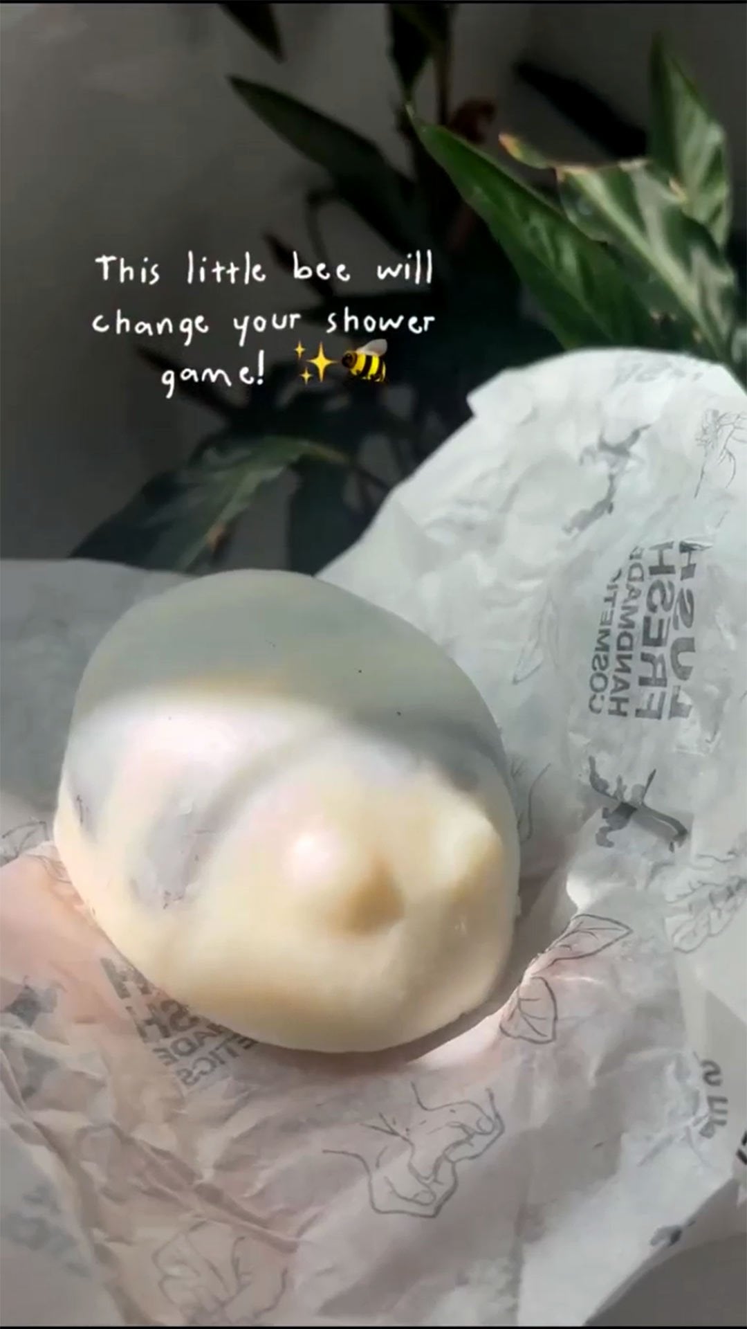 Scrubee(Body Butter )