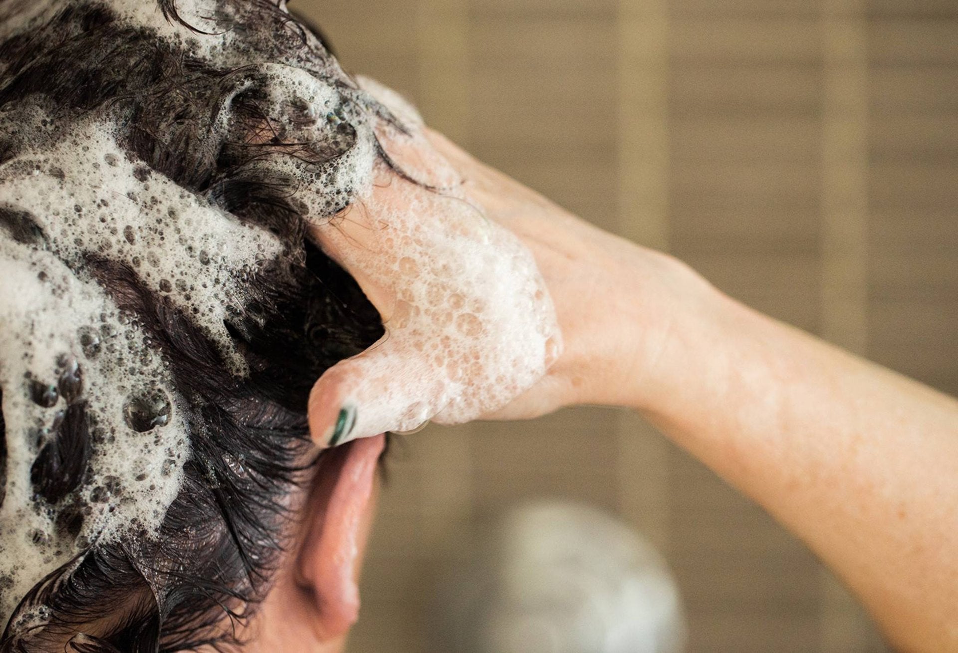 Cynthia Sylvia Stout(Shampoo)