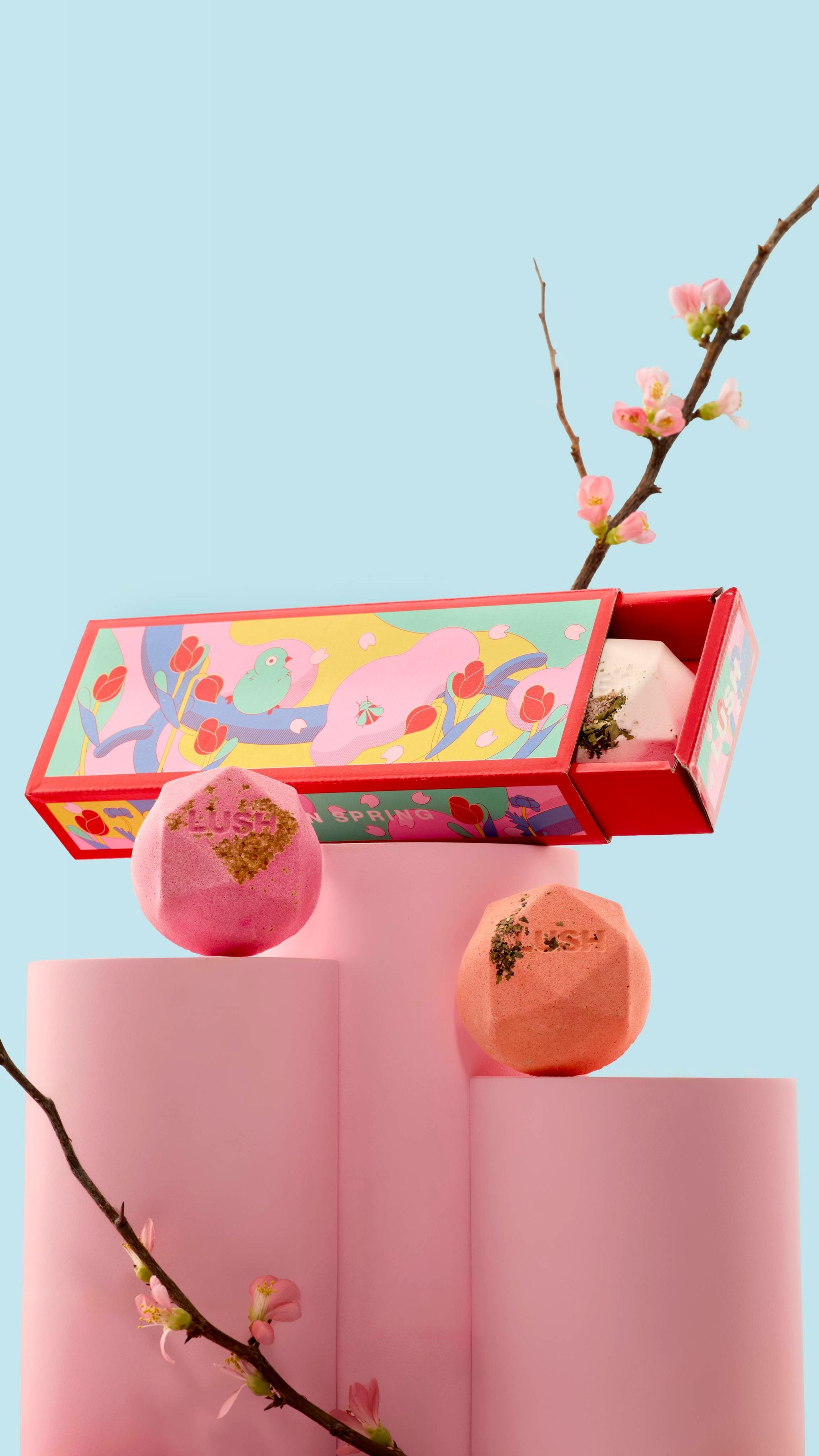 Ippuku In Spring(Gift)