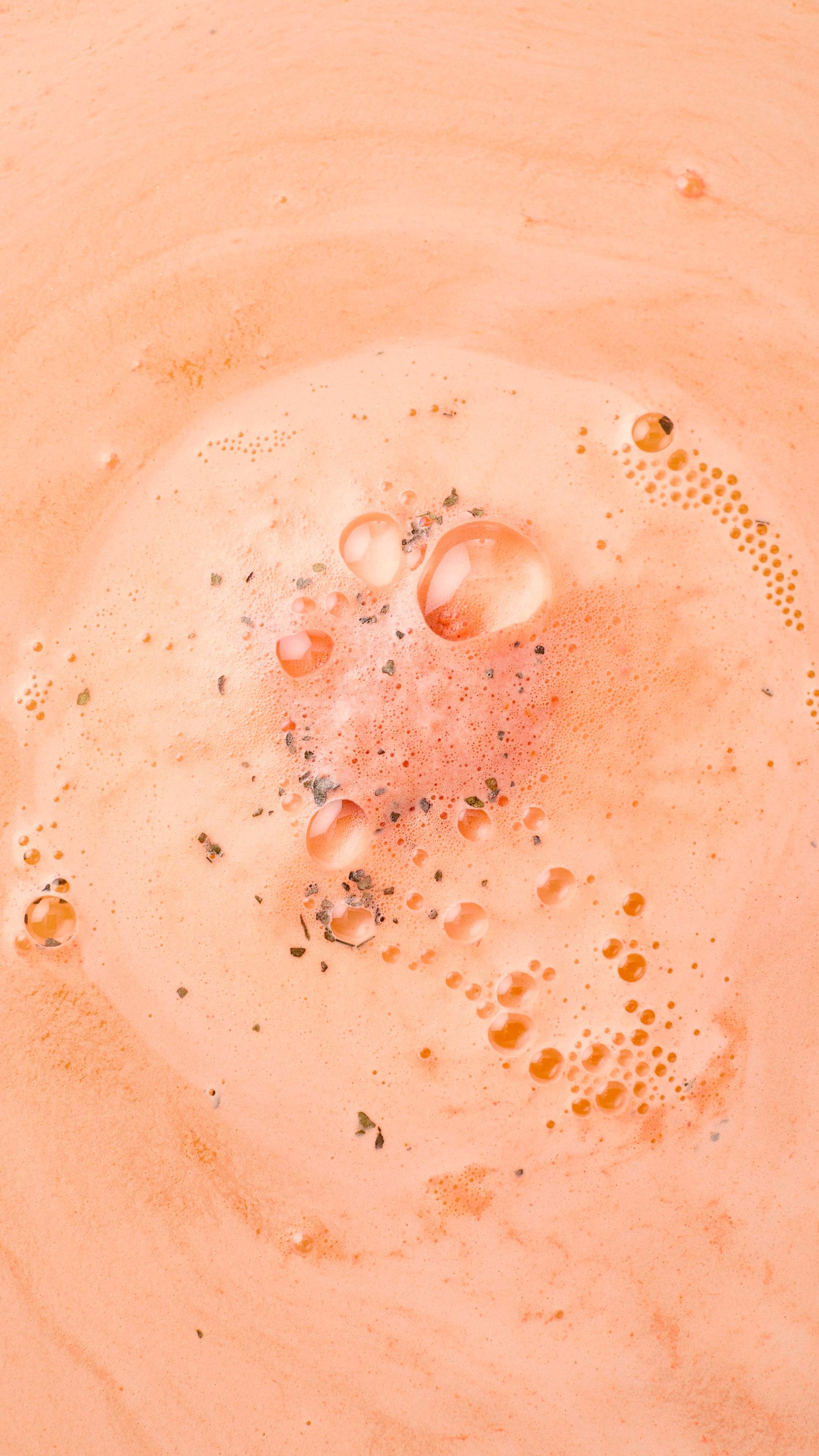 Ippuku In Spring(Gift)