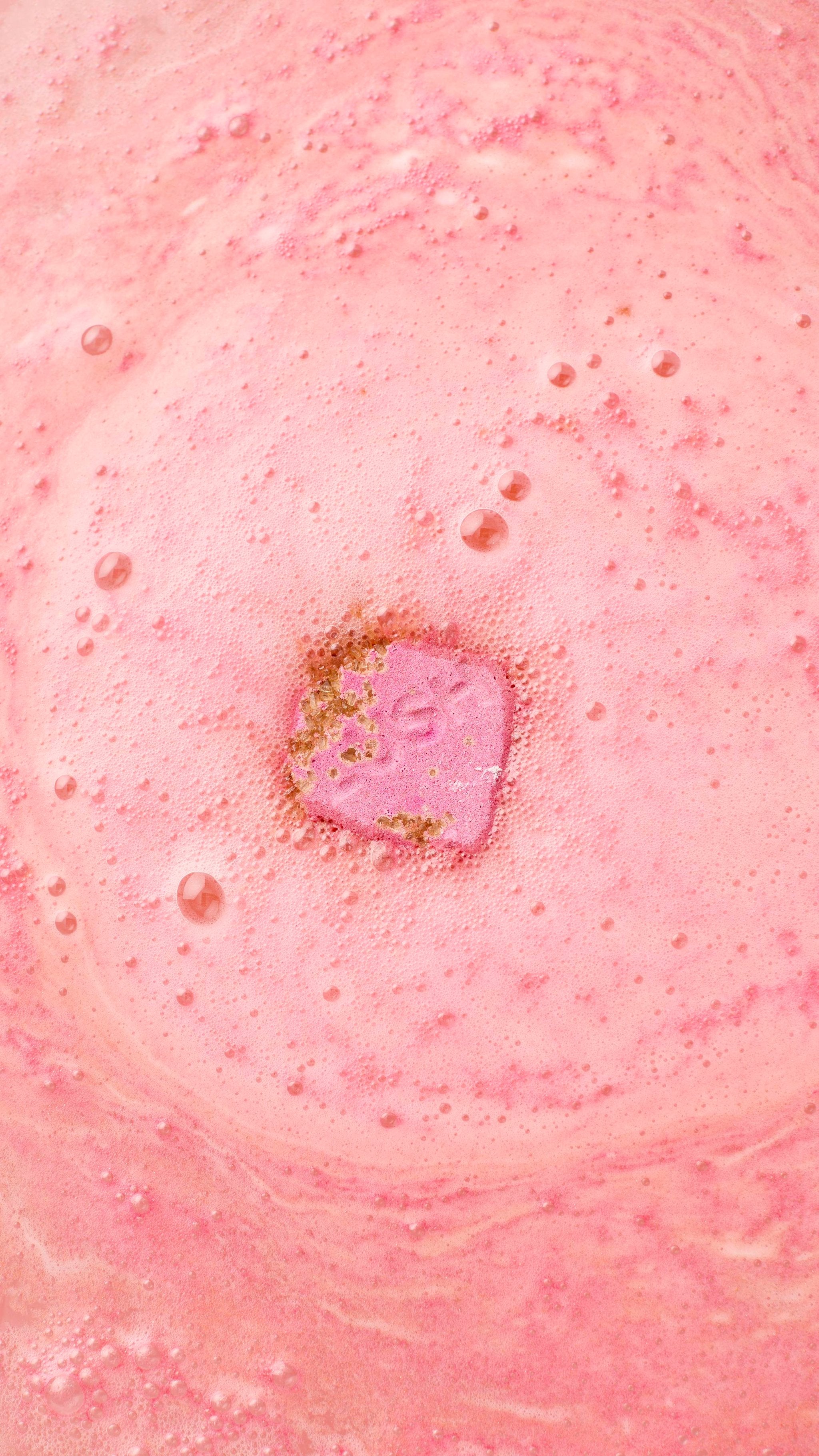 Ippuku In Spring(Gift)