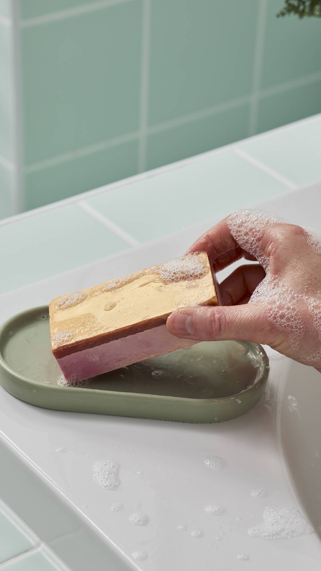 The Goose's Golden Egg(Soap)