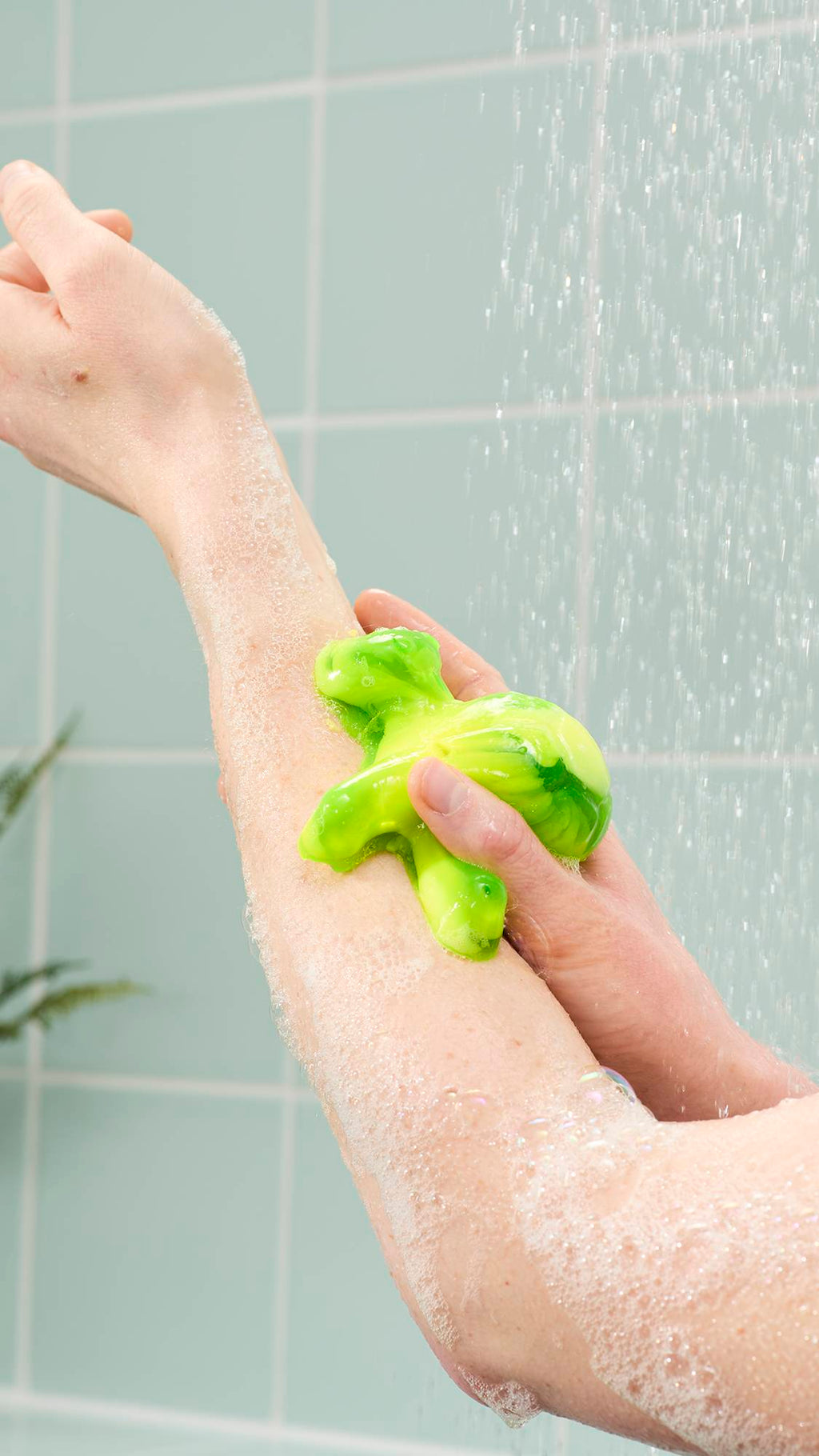 Turtle(Shower Jelly)