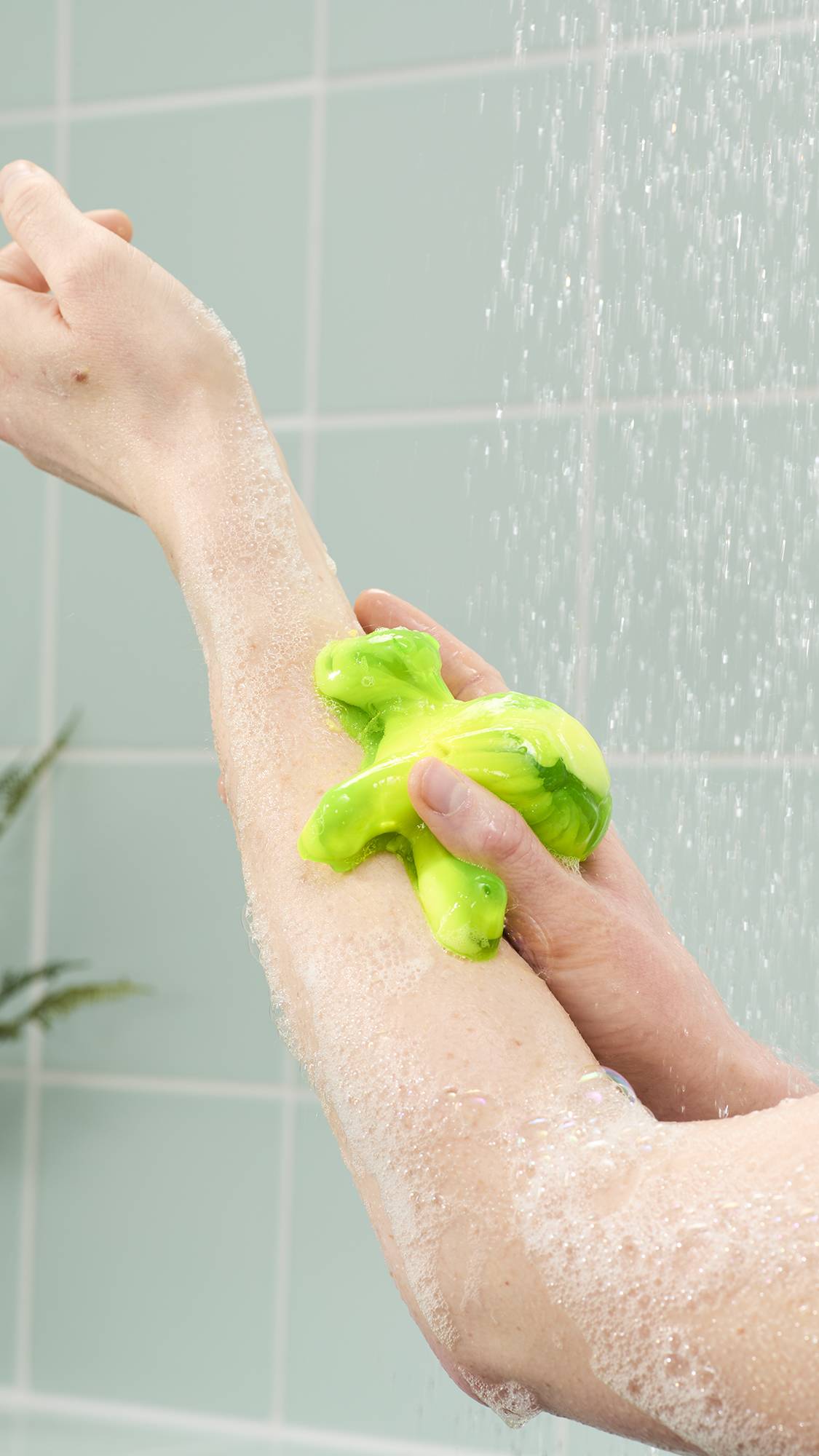 Turtle(Shower Jelly)