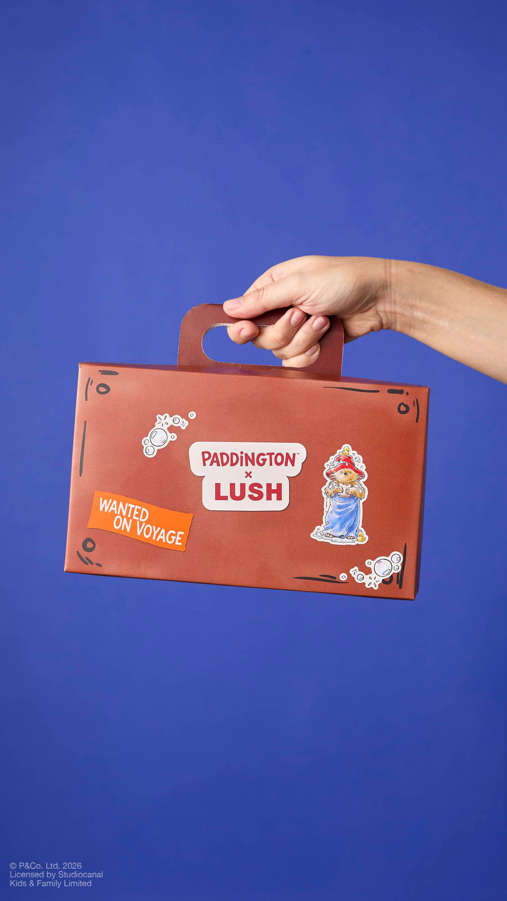 Suitcase(Product Holder)