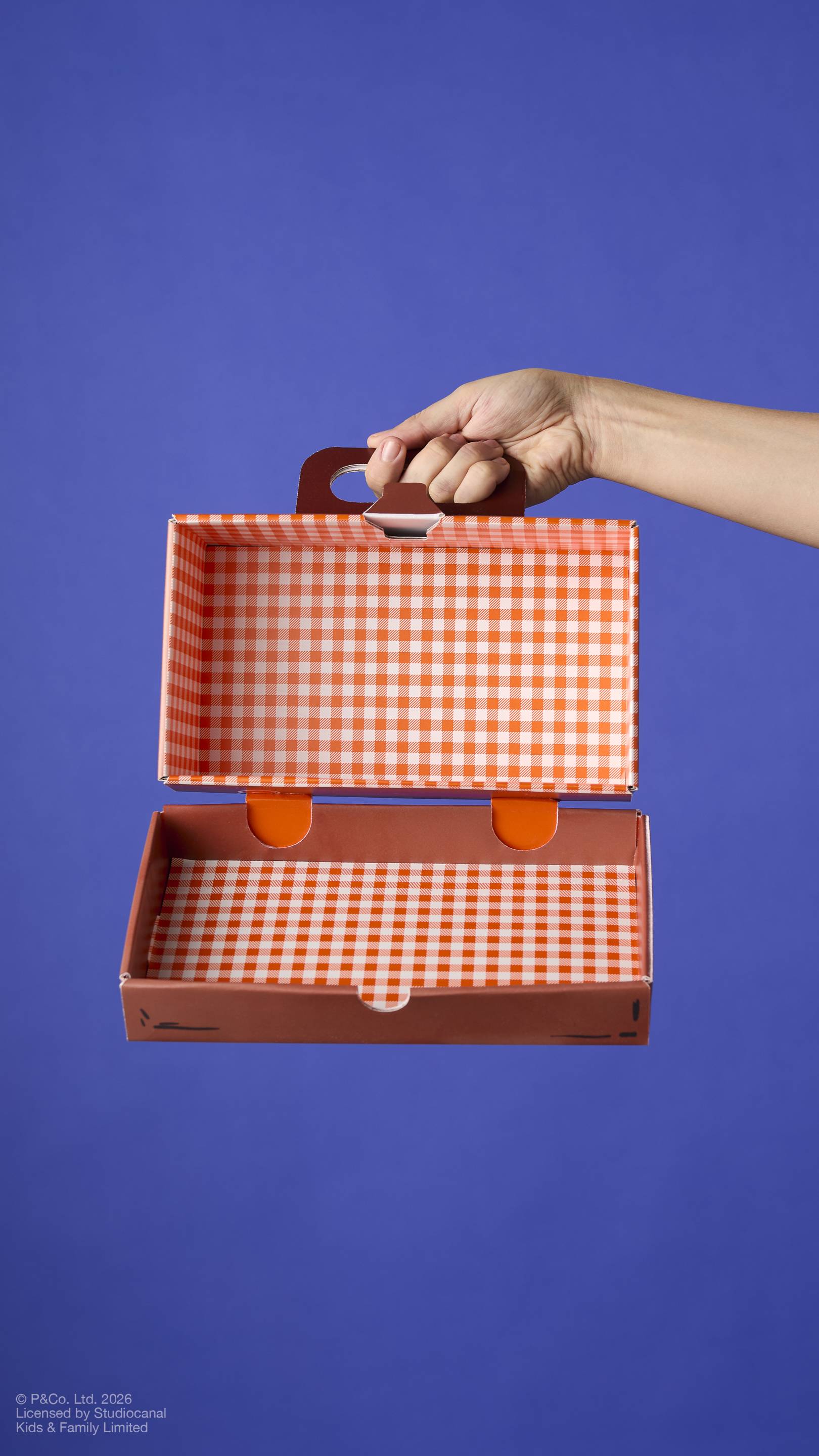 Suitcase(Product Holder)